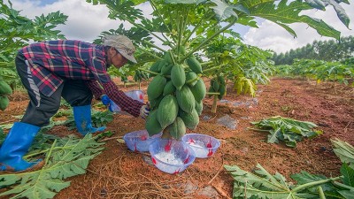 2025生物酶制劑行業(yè)發(fā)展趨勢