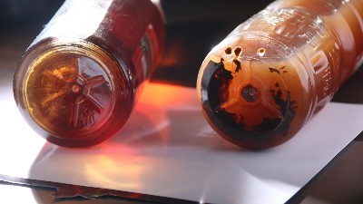 酒曲與酶制劑有什么區(qū)別？兩個可以同時使用嗎？