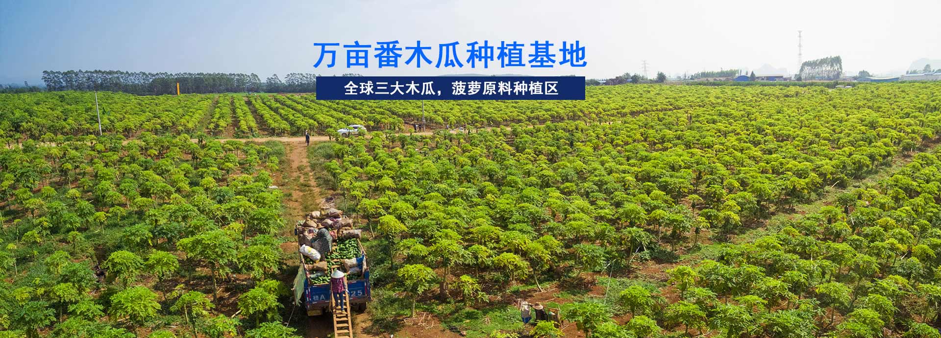 東恒華道-工業園占地5畝，生產車間10000㎡